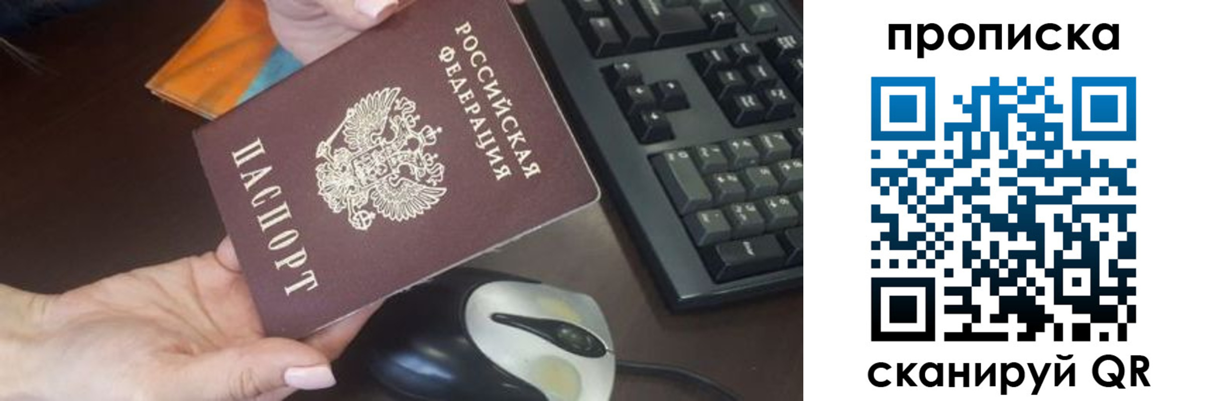 прописка гарантия в Высоковске